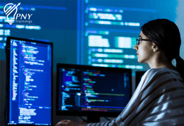Python Programming with Django Framework